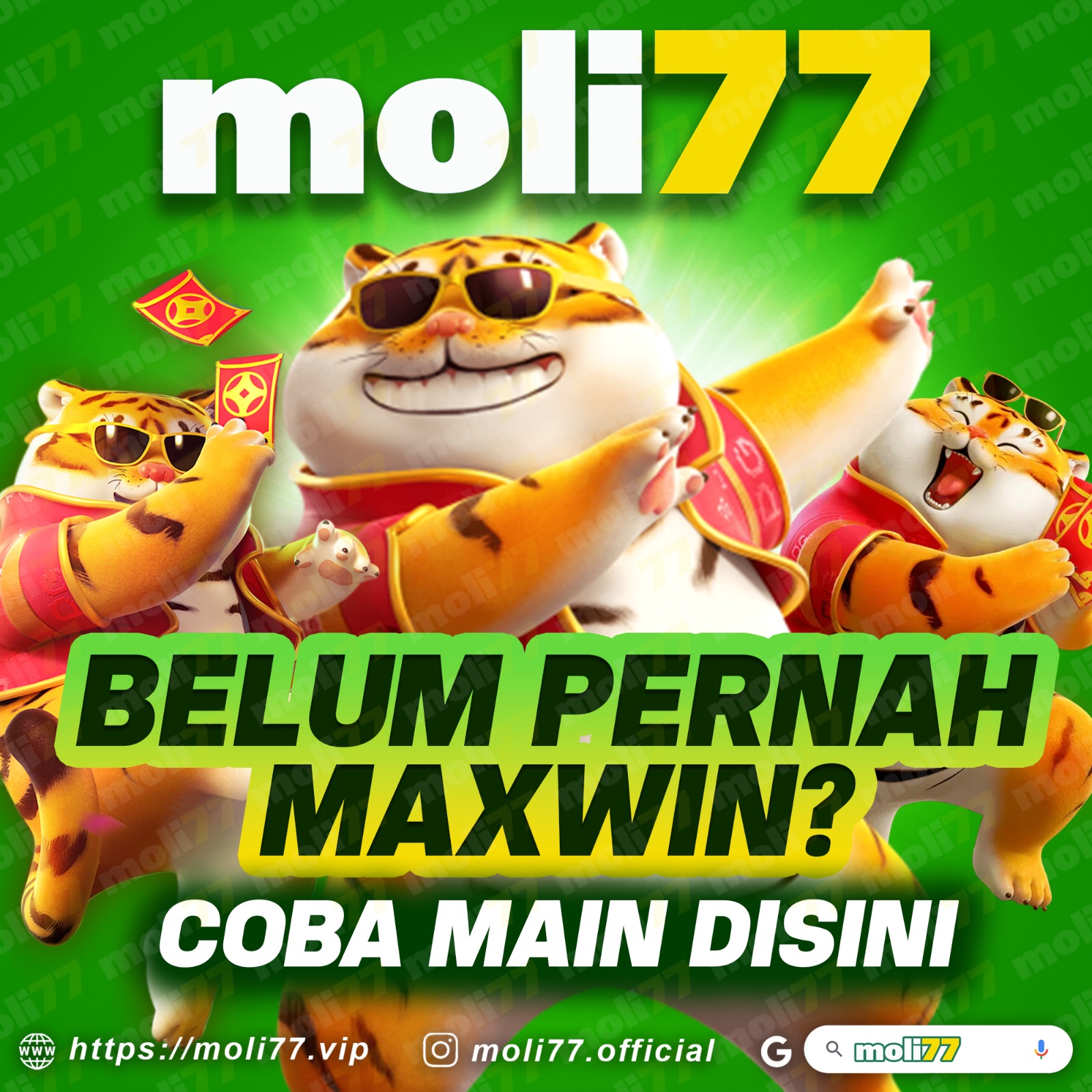 Moli77